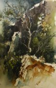 Buskett Sapling, 33 x 51 cm, Watercolour